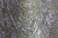 High Grantley fibreglass roof work